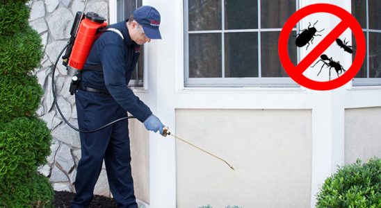 Bademler Fare İlaçlama böcek ilaçlama ve haşere kontrolü — ilaclama-tr.com